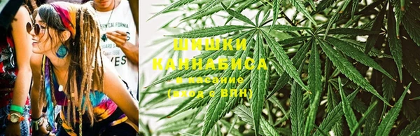 хмурый Балабаново
