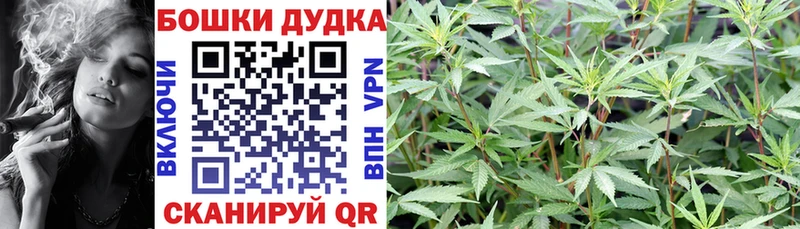 что такое наркотик  ОМГ ОМГ tor  МАРИХУАНА AK-47  Новый Оскол 